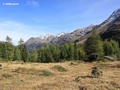 Blick talwärts unterhalb der Zufallhütte