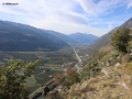 Blick ins Vinschgau mit der Etsch und dem Ortler