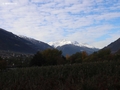 Der morgendliche Blick auf den Ortler