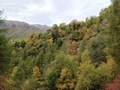 Herbstfarben