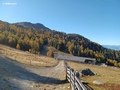 Blick zurück auf die Alm