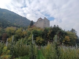 Schloss Dornsberg