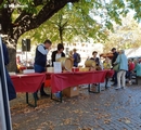 Törggelen auf dem Rathausplatz