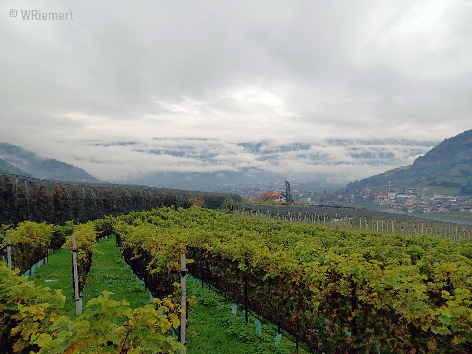 03-20241017_100533.jpg_1600x1200