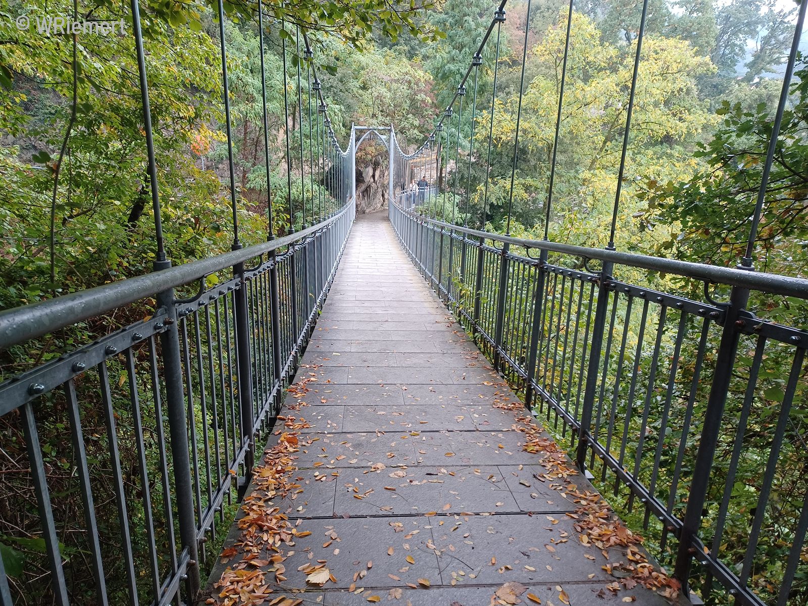 06-20241017_110856.jpg_1600x1200