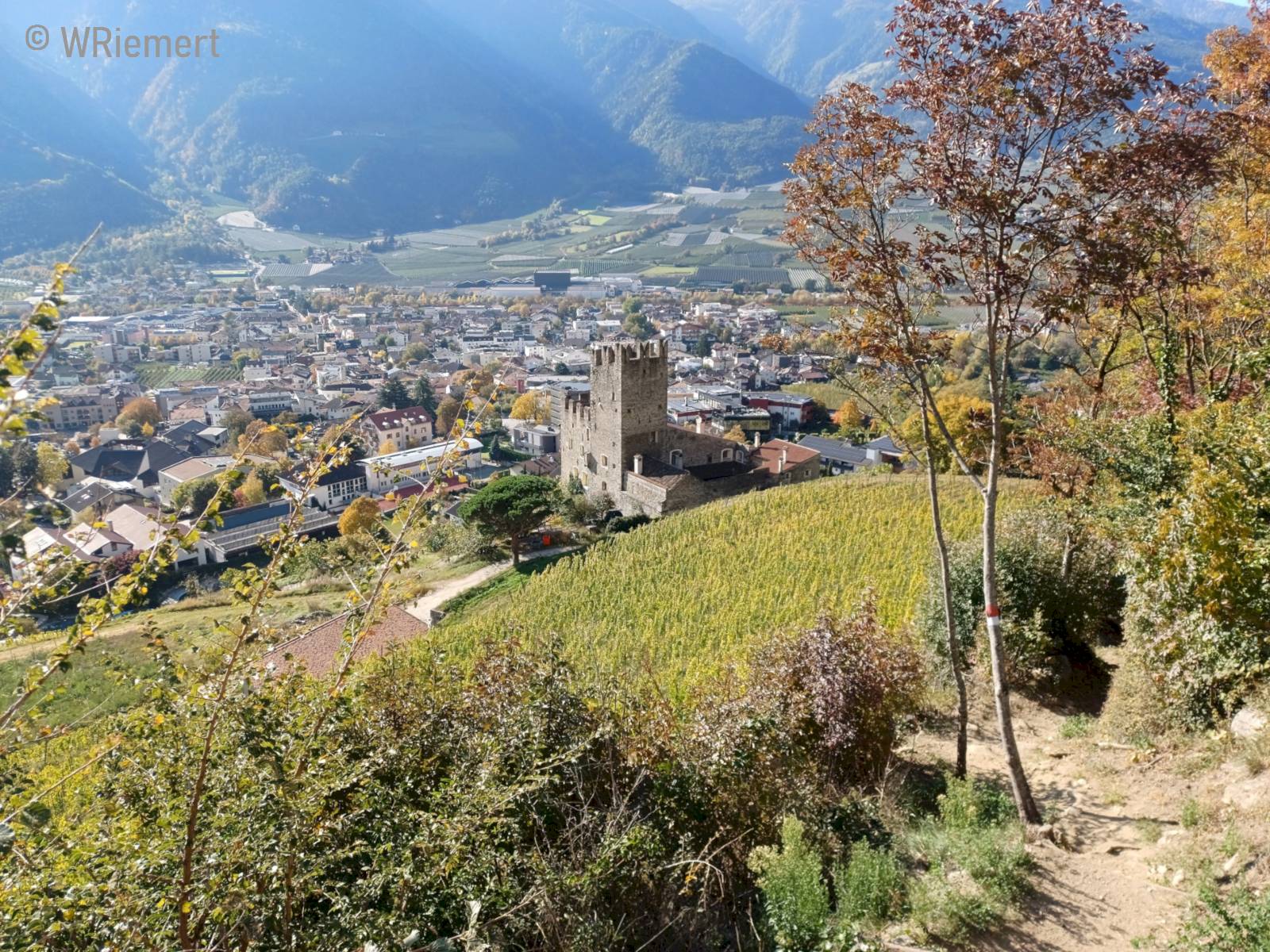 Zur Bildergalerie 'Via Vinum Venostis' bitte hier klicken